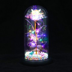 Flower In Glass Dome Eternal Forever Galaxy Rose LED Light Mother’s Day Gifts