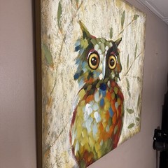 Owl on canvas pier one