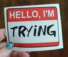 4″ Hello I’m Trying Name Tag Decal Printed Vinyl Sticker Funny Doing My Best