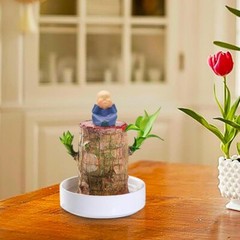 A Set of Green Plant Brazilian Wood Water Raise Lucky Wood Potted Tree Indoor US