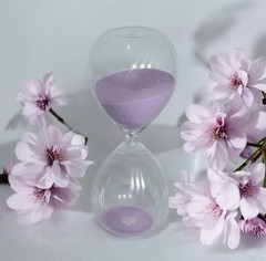 Glass Hourglass 8.5″ Timer 30 Min Purple Sand Free Standing Time Management
