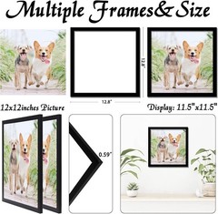 12X12 Picture Frame Set of 1 or 2 Black Square Photo Frames High Transparent Wal