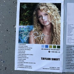 Set of 11 Taylor Swift Album Cover Canvas Prints Posters Decor Wall Art