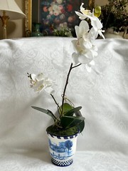 Mackenzie Childs ROYAL TOILE Medium POTTED ORCHID Blue/White Ceramic 17″ T NEW