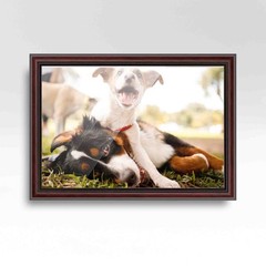 22×34 Frame Executive Brown Round Mahogany Finish Solid Wood Picture Frame | 1.2