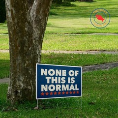 None Of This Is Normal America Yard Sign Political Protest