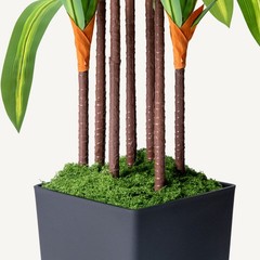 Artificial Dracaena Tree with Lights, 5Ft Fake Plants Black Tall Planter Indoor