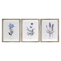 (Set of 3) 16″x20″ Framed Vintage Botanicals Decorative Wall Art Natural/Blue –