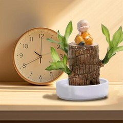 A Set of Green Plant Brazilian Wood Water Raise Lucky Wood Potted Tree Indoor US