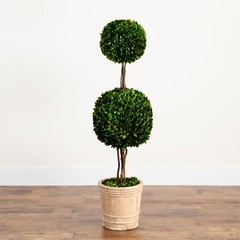 4’ Preserved Boxwood Double Ball Topiary Tree UV Indoor/Outdoor. Retail $403