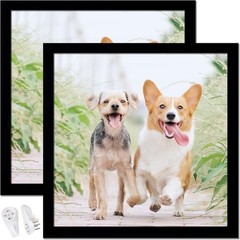 12X12 Picture Frame Set of 1 or 2 Black Square Photo Frames High Transparent Wal