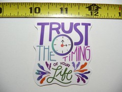 TRUST THE TIMING OF YOUR LIFE SMALL STICKER DECAL MOTIVATIONAL POSITIVE ATTITUDE