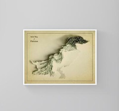 Pakistan Map, Pakistan 2D Relief Map, Pakistan Vintage Map – 2D Flat