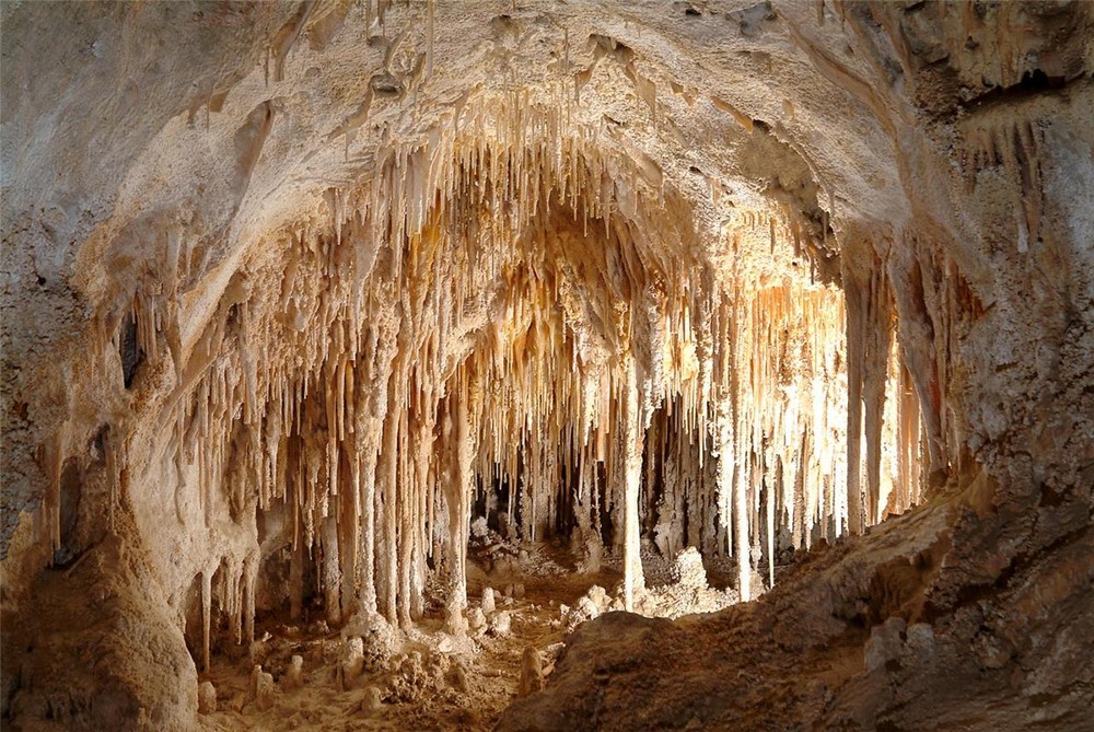 CARLSBAD CAVERNS GLOSSY POSTER PICTURE PHOTO new mexico cave limestone park 664