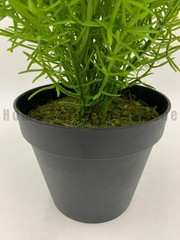 Pottery Barn Faux Potted Asparagus Fern Houseplant Medium 13″ #S8007