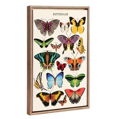 Modern Colorful Butterfly Poster Framed Canvas Wall Art 1-Piece Gold Framed Canv