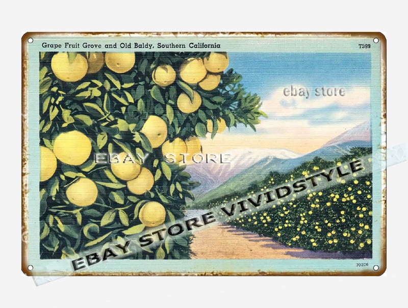 tin sign 1930s-40s Grape Fruit Grove Old Baldy Southern California