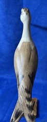 Coastal Decor 12.5”Sandpiper Pair Wooden Figures on Wood Base Glass Eyes