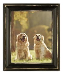 Distressed Lucy – Distressed Black Picture Frame – Solid Wood