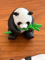 4 Panda Bear Figures Miniature Statue Sculpture Decor Garden Cake Topper 2 in