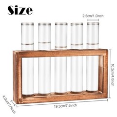 Desktop Glass Plant Propagation Station with 5 Test Tubes in Wooden Stand – H…