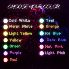 Custom Neon Sign Personalized sign Acrylic LED Modern Neon Signs