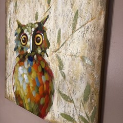 Owl on canvas pier one