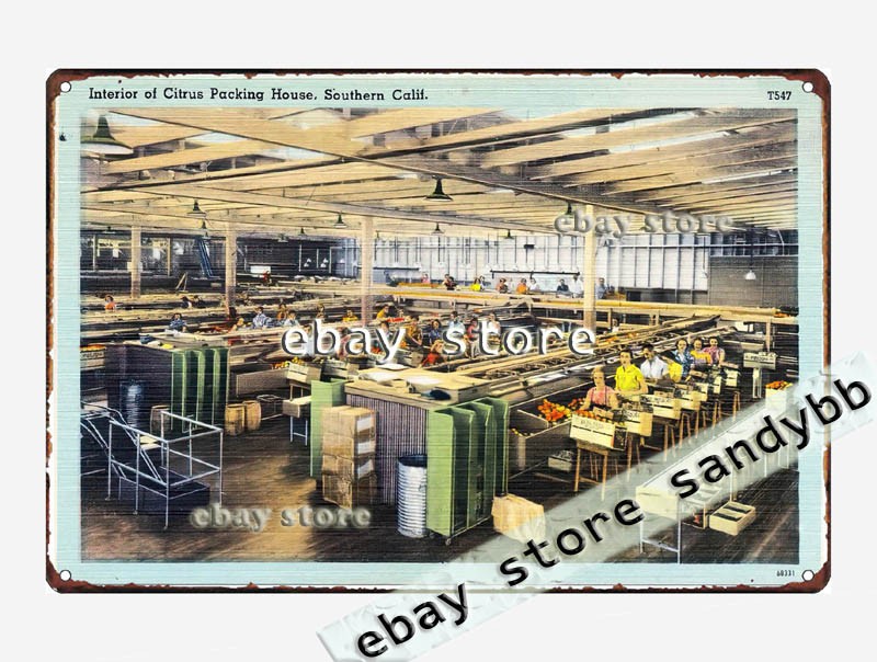 1930-45 Interior of Citrus Packing House, Southern California tin sign