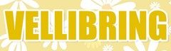 4 Pack Summer Daisy Pillow Covers Decor 18×18 Inch Hello Summer Sunshine Yellow