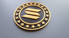 Solana Coin Cryptocurrency Wall Art Sol
