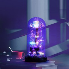 Flower In Glass Dome Eternal Forever Galaxy Rose LED Light Mother’s Day Gifts
