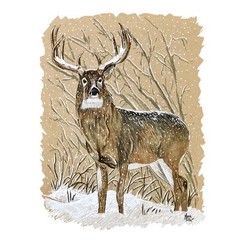 White Tail Deer in Wintry Forest – Printed Vinyl Decal Sticker – Car Truck RV